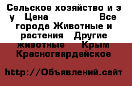 Сельское хозяйство и з/у › Цена ­ 2 500 000 - Все города Животные и растения » Другие животные   . Крым,Красногвардейское